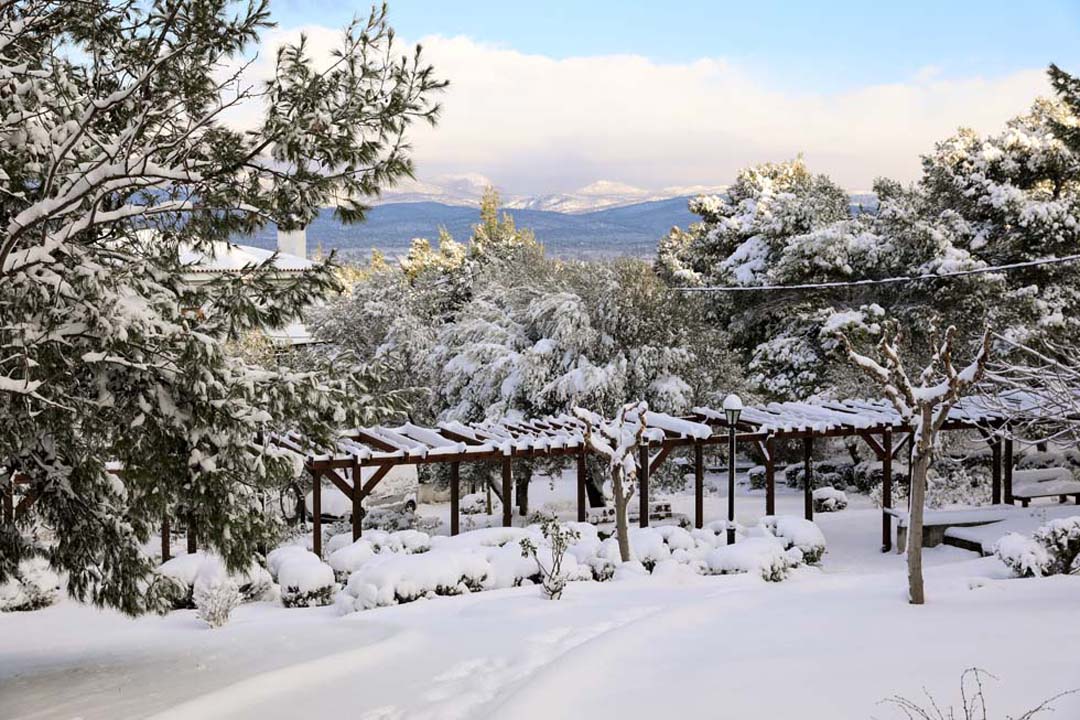 Park in the Snow