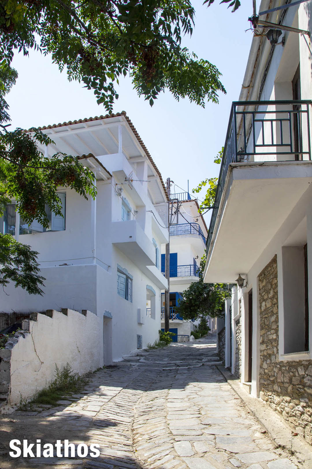 Houses on street in Skiathos