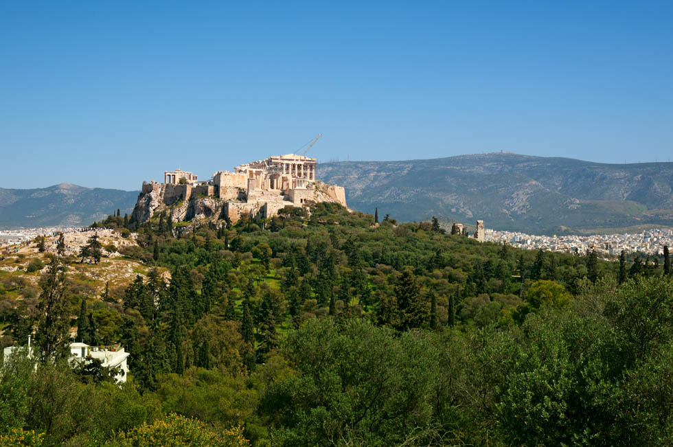 Acropolis trees in Athens