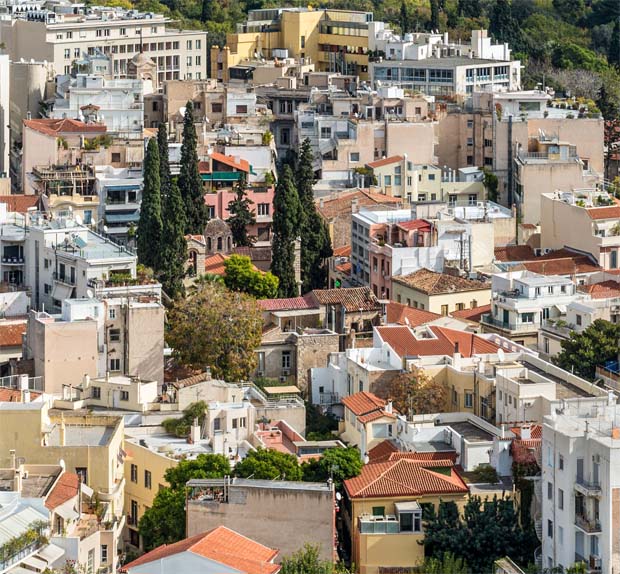 Cypress trees in Athens Greece