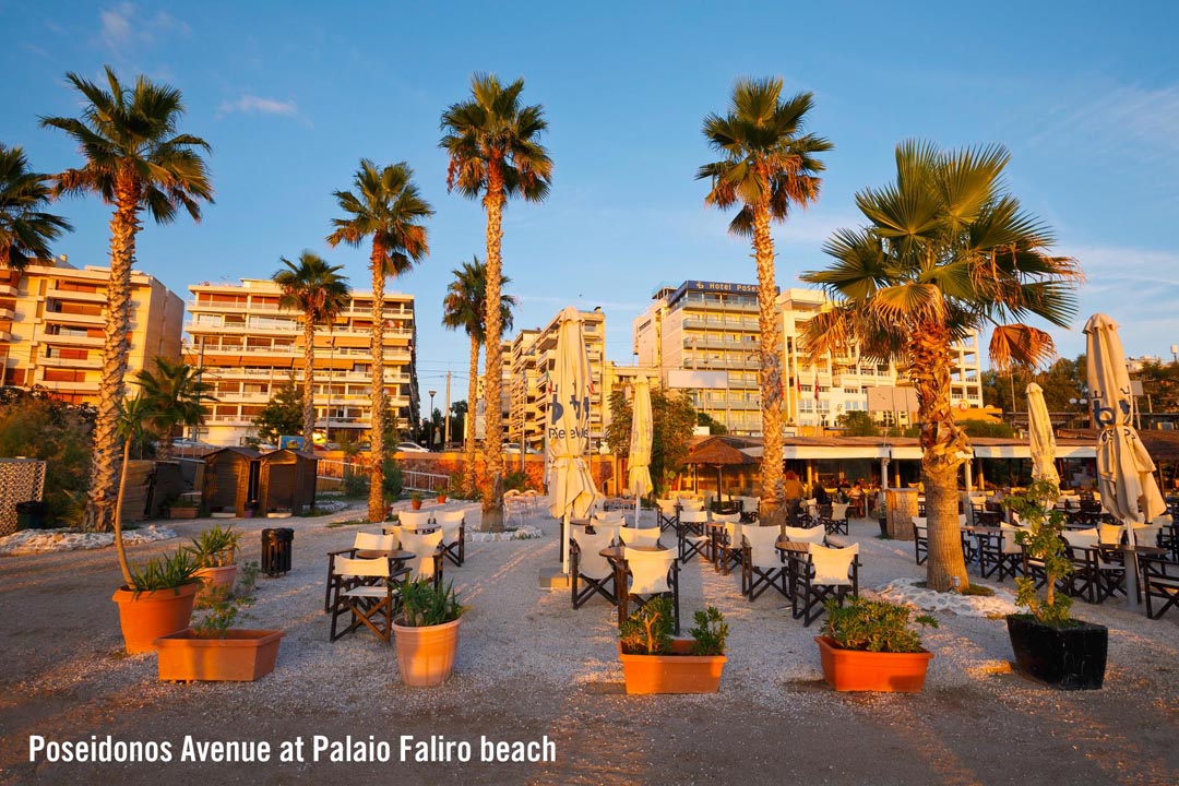 Palms